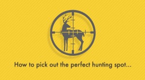 how to pick out the perfect hunting location