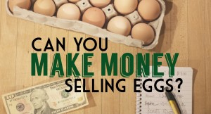 can you make money selling eggs?